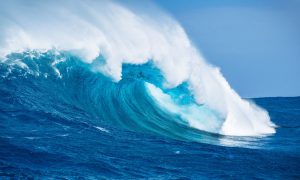 Wilbur Staffing - About Us